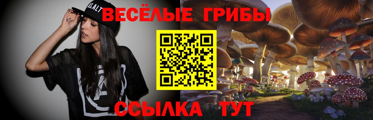 Псилоцибиновые грибы Psilocybine cubensis Кашира