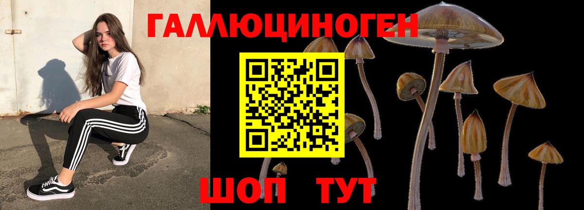 Псилоцибиновые грибы GOLDEN TEACHER  Вход с VPN  Кашира 